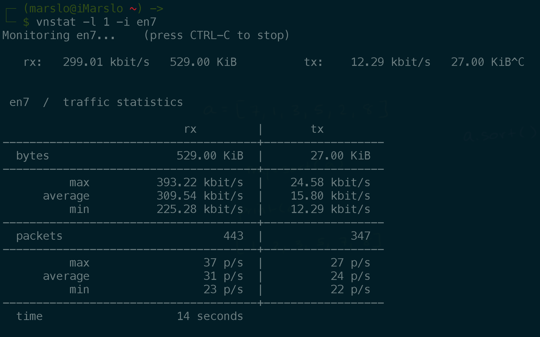 vnstat